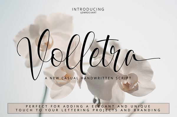 Volletra Script Free Typeface