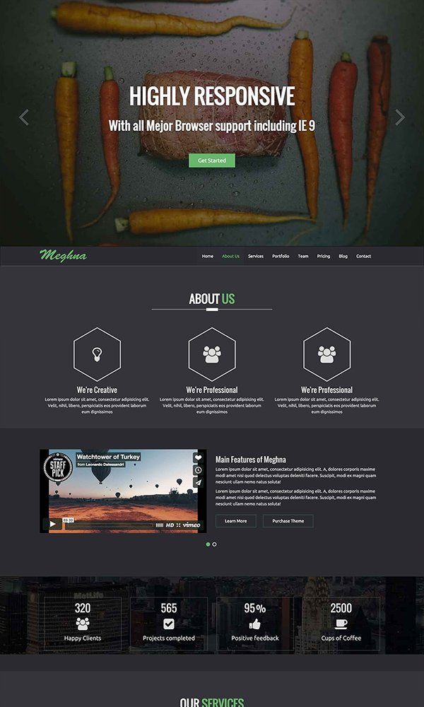 Meghna Onapage Business Template