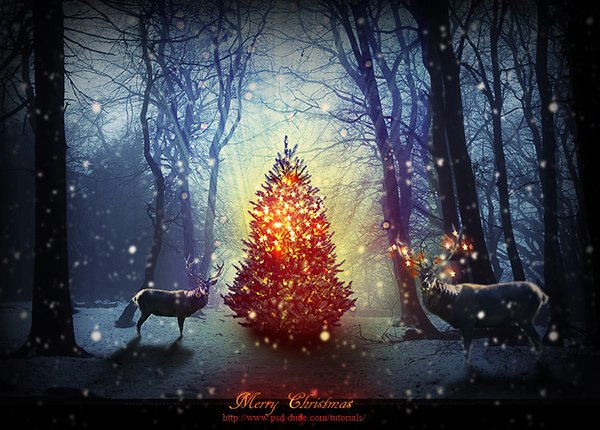Magic Christmas Tree Photoshop Manipulation Tutorial