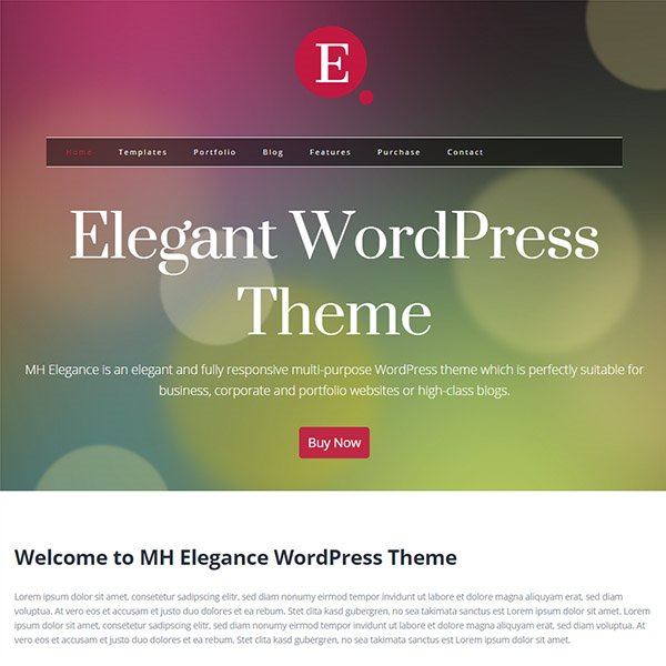 Elegant WordPress Theme