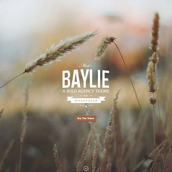 Baylie WordPress Theme