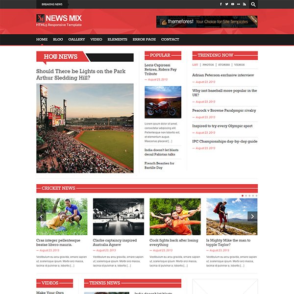 News Mix Magazine WordPress Theme (light version)