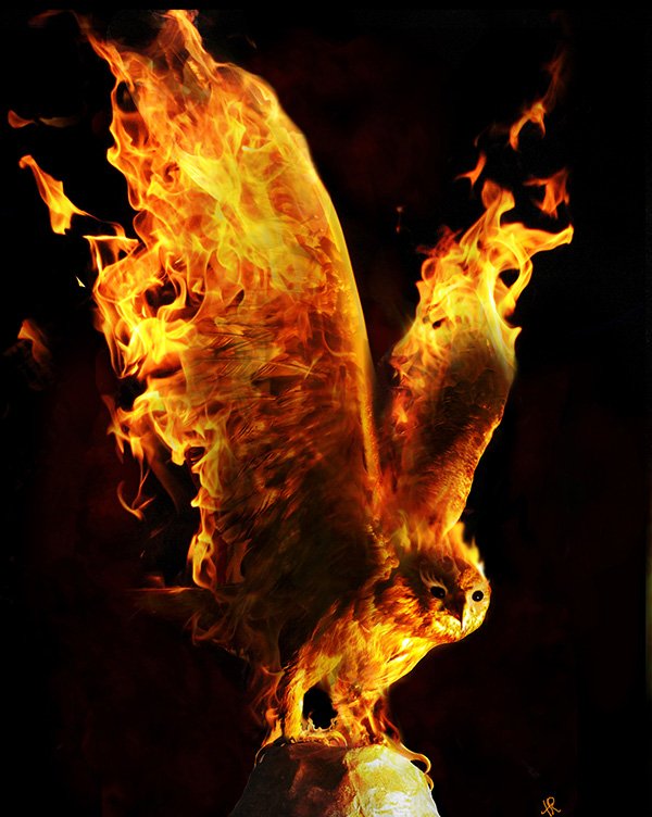 Bird Of Fire