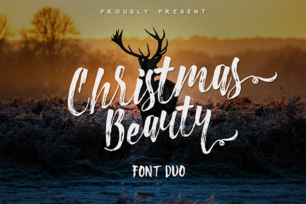 Christmas Beauty Font Duo