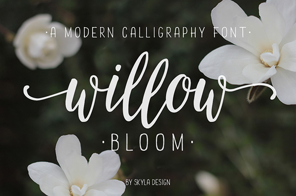 Willow Bloom - Modern Calligraphy Font