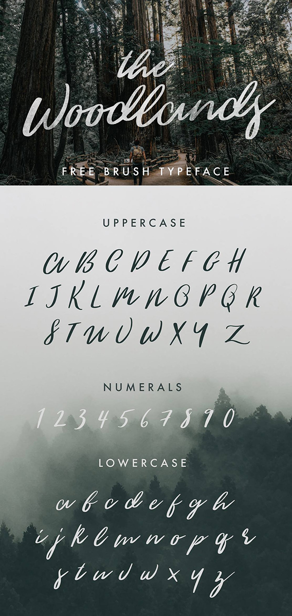 The Woodlands - Free Calligraphy Brush Script Font